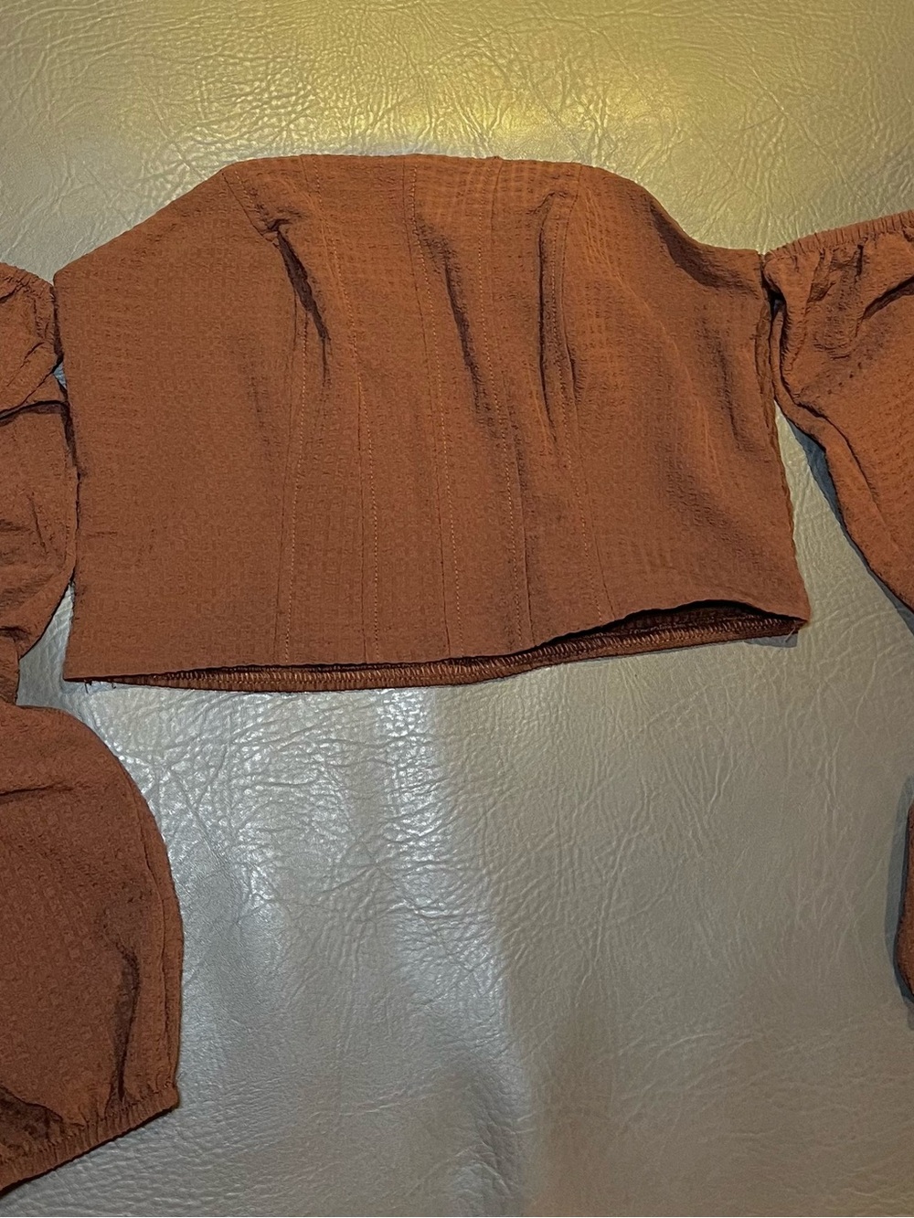 Off-Shoulder Rust Crop Top with Puff Sleeves